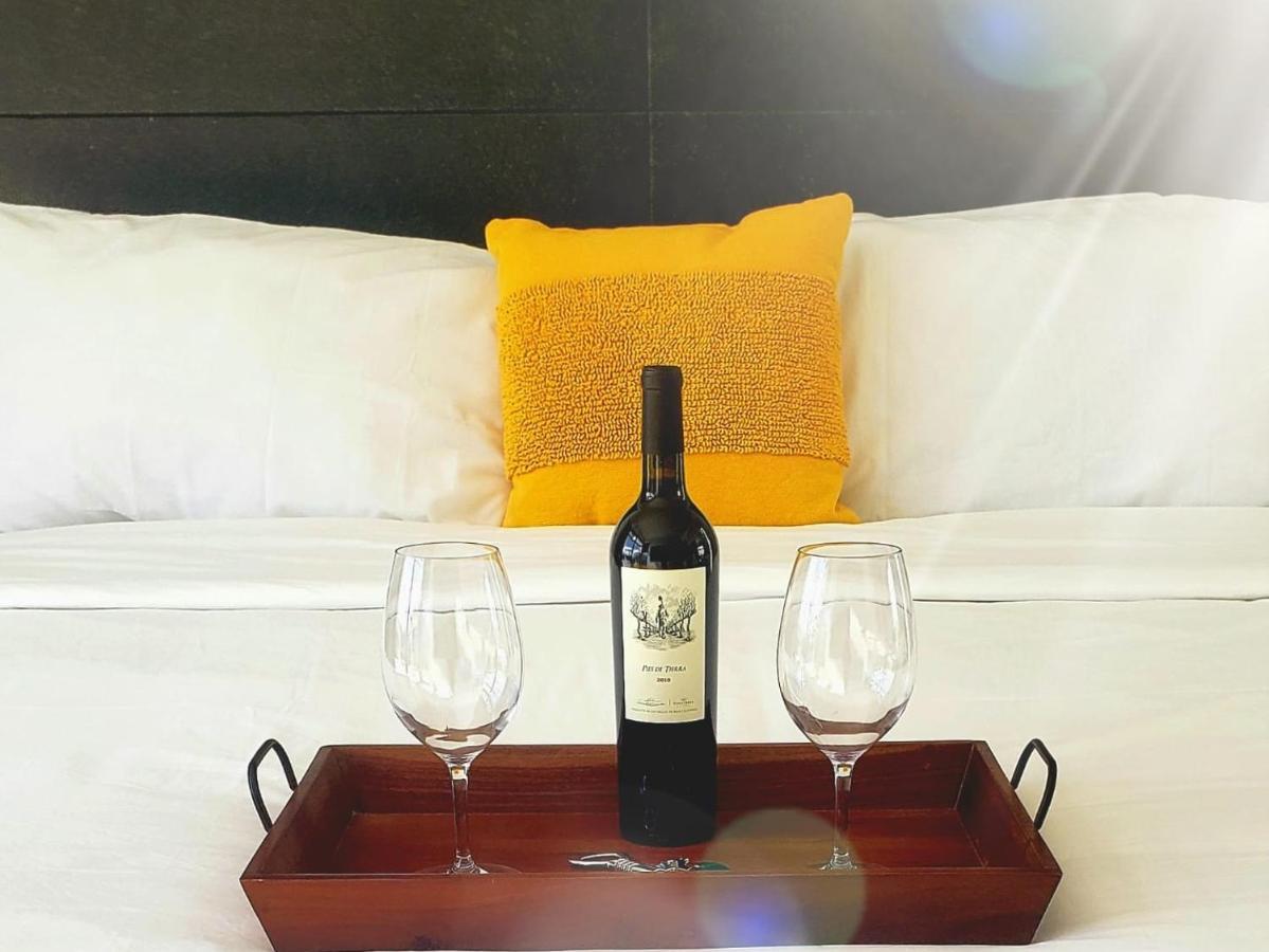 恩塞纳达港 D'Vino Valle De Guadalupe酒店 外观 照片